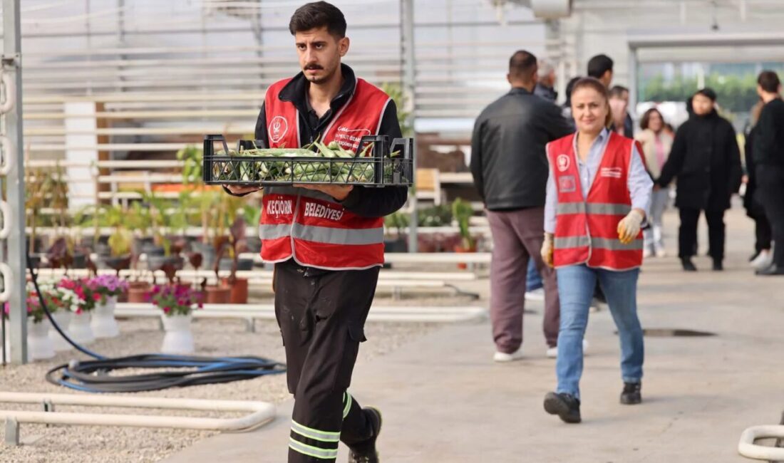 Keçiören Belediyesi Park ve Bahçeler Müdürlüğü bünyesinde faaliyet gösteren serada,