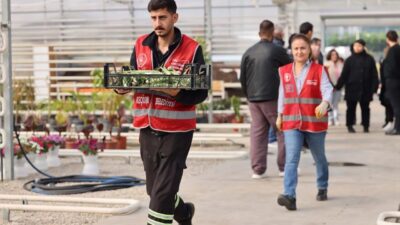 Keçiören Belediyesi Park ve Bahçeler Müdürlüğü bünyesinde faaliyet gösteren serada,