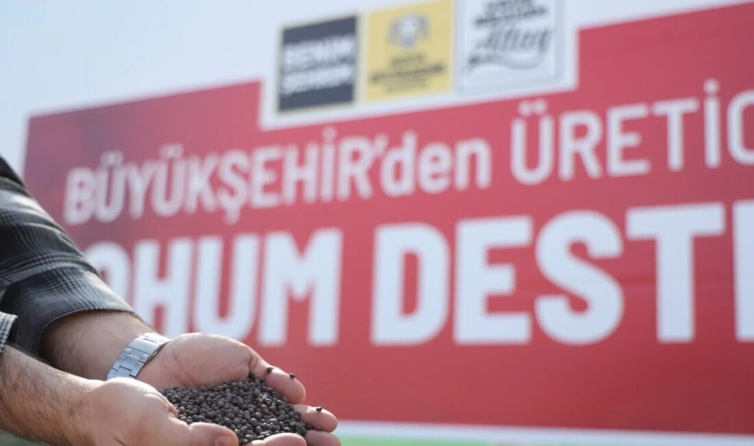 Konya Büyükşehir Belediyesi, hayvancılıkta kaba yem açığının giderilmesine katkı sağlamak