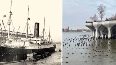 New York’un Hudson Nehri kıyısındaki gözde turistik noktası Little Island,