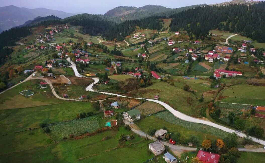 Ordu Büyükşehir Belediyesi tarafından düzenlenen yarışmada en güzel 41 mahalle
