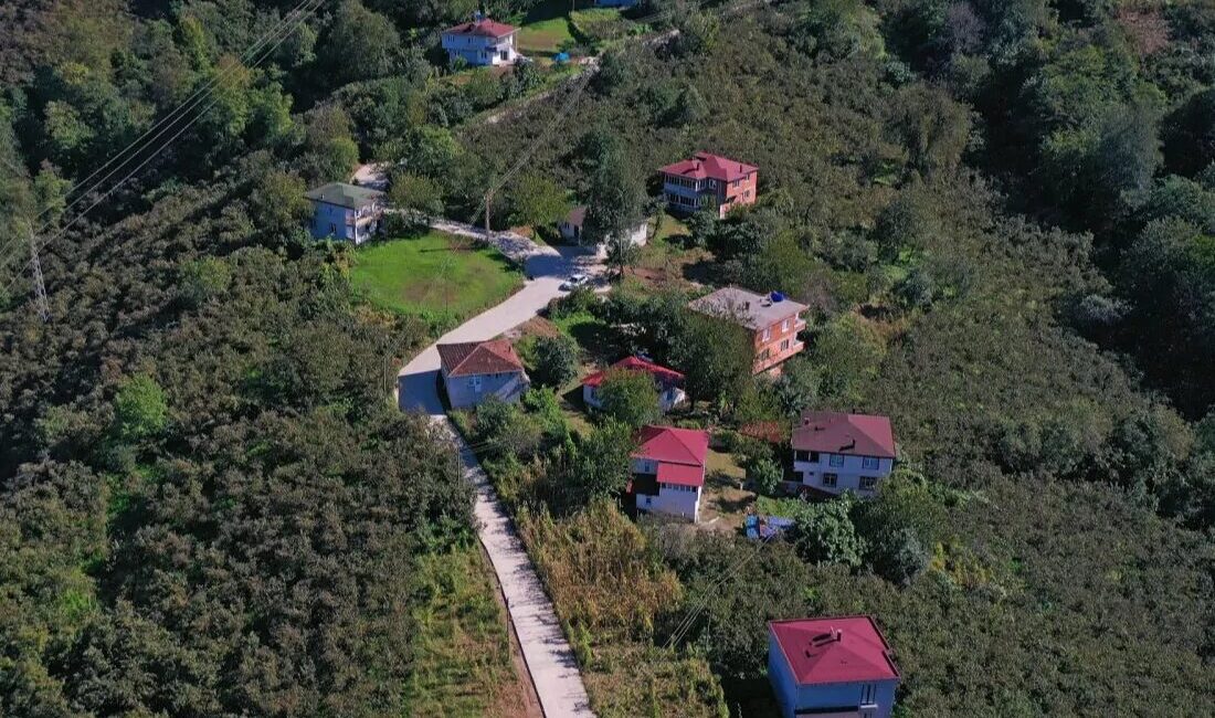 Ordu Büyükşehir Belediyesi, Çamaş ilçesi Budak Mahallesi’nde ulaşım konforunu artırmak