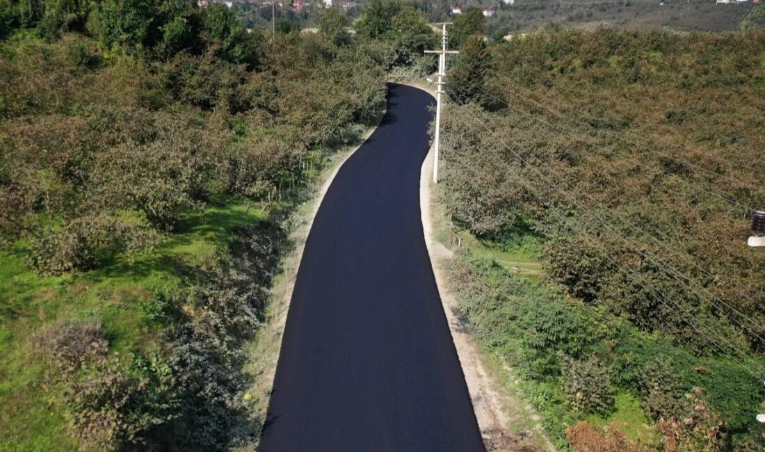 Ordu Büyükşehir Belediyesi İkizce’de bulunan 5 km’lik güzergahta sıcak asfalt