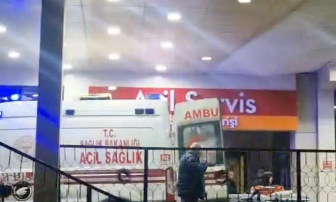 Düzce’nin Yığılca ilçesinde kaybolan hayvanlarını aramak için ormanlık alana çıkan