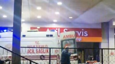 Düzce’nin Yığılca ilçesinde kaybolan hayvanlarını aramak için ormanlık alana çıkan