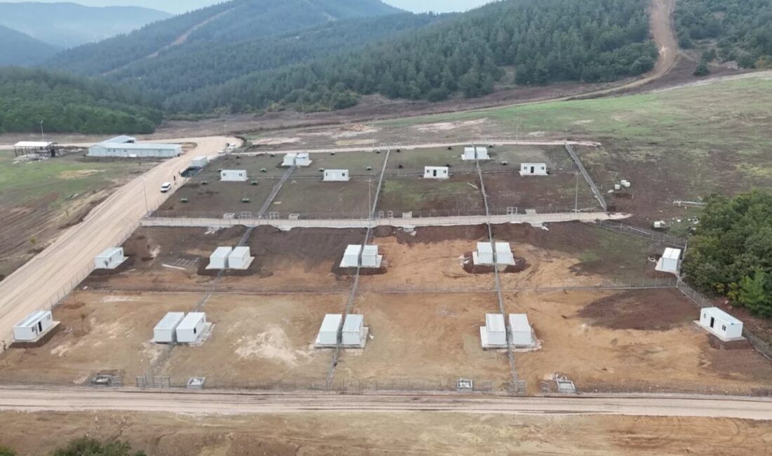 Bursa'da Osmangazi Belediyesi’nin sahipsiz can dostlarını konforlu ve güvenli bir