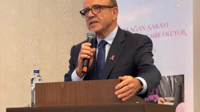 Meme Sağlığı Derneği (MEMEDER) Onursal Başkanı Prof. Dr. Vahit Özmen,