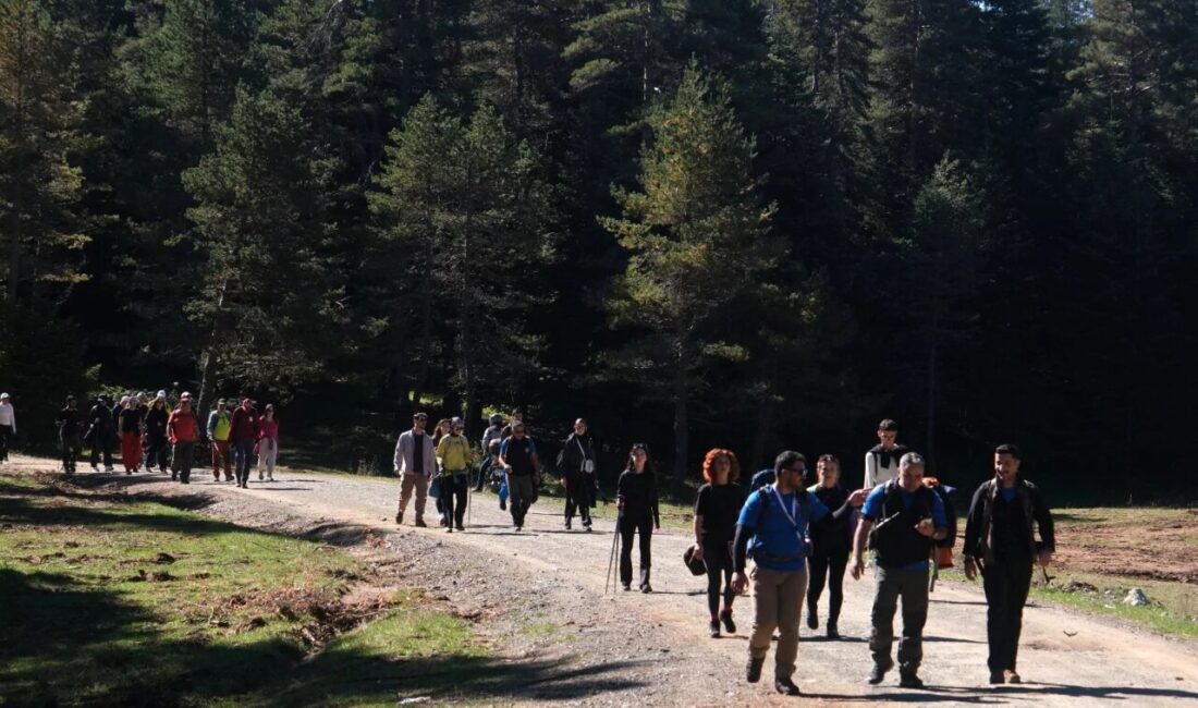 Sakarya Büyükşehir Belediyesi tarafından düzenlenen Sonbahar Doğa Yürüyüşleri, Pamukova’da yer