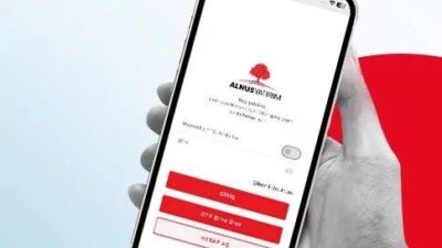 Alnus Yatırım Menkul Değerler A.Ş., Sermaye Piyasası Kurulu (SPK) kararı