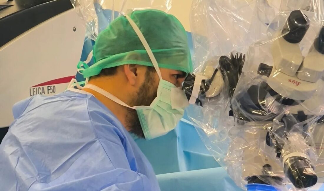 Op. Dr. Tahsin Saygı ve çalışma arkadaşlarının beynin sinir bağlantılarına