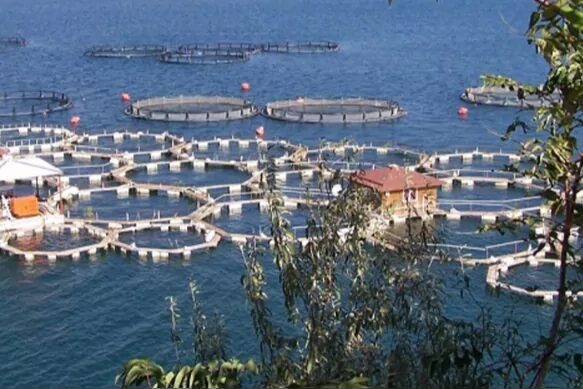 Tarım ve Orman Bakanı İbrahim Yumaklı, IPARD III Programı’nın 11.