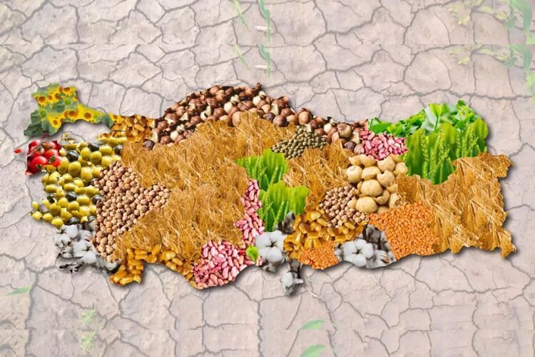 Tarım ve Orman Bakanlığı, 2025 yılına ilişkin tarımsal amaçlı kooperatif,