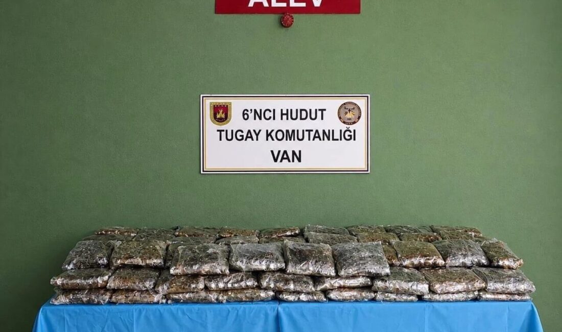 Millî Savunma Bakanlığı, Van hudut hattında görev yapan Hudut Kartalları