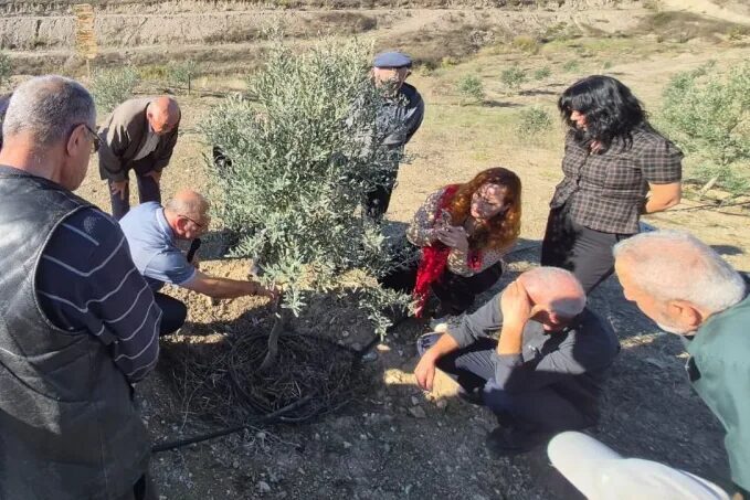 Eskişehir Büyükşehir Belediyesi, Orta Sakarya Vadisi’nde zeytinciliğin geliştirilmesi ve üreticilerin
